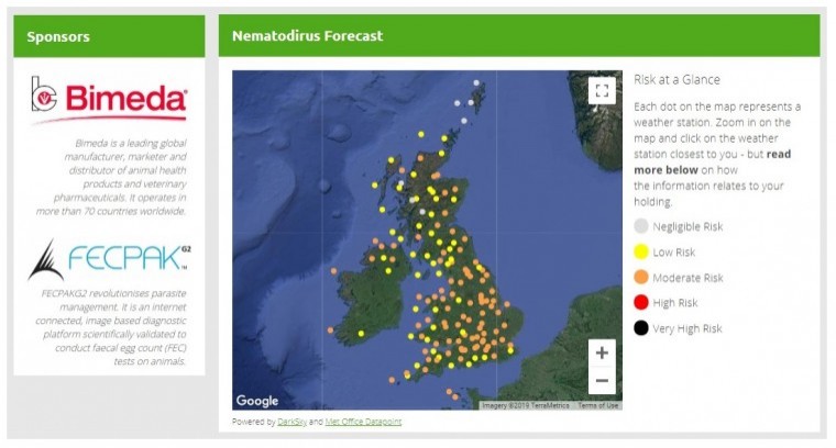 Lambs at risk from nematodirus earlier this year