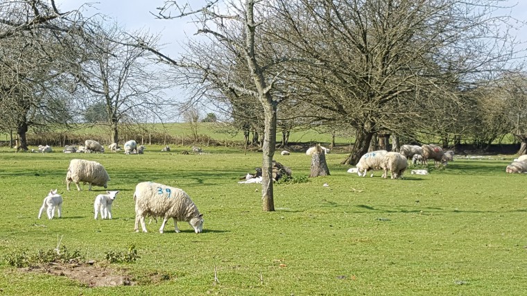 Farm thrives on producing good food and wildlife