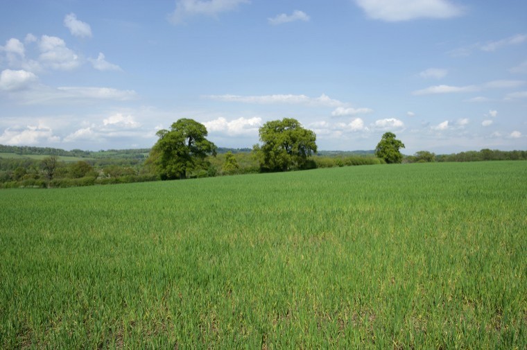 Land near Sevenoaks