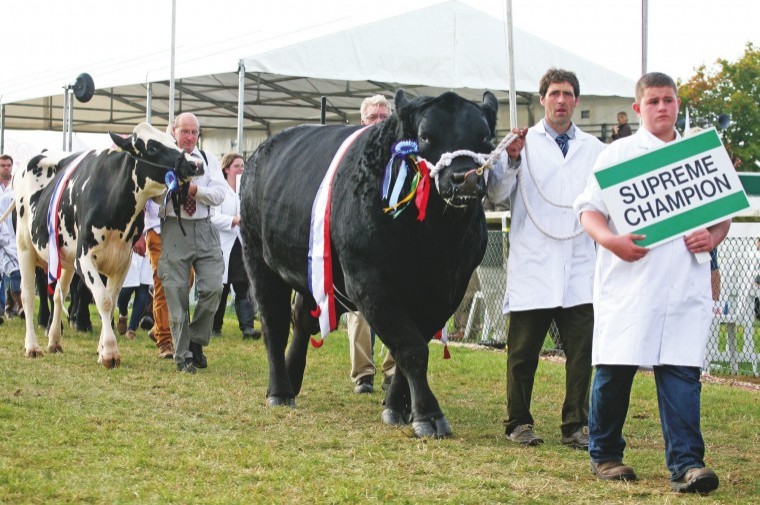 New livestock facilities boost show