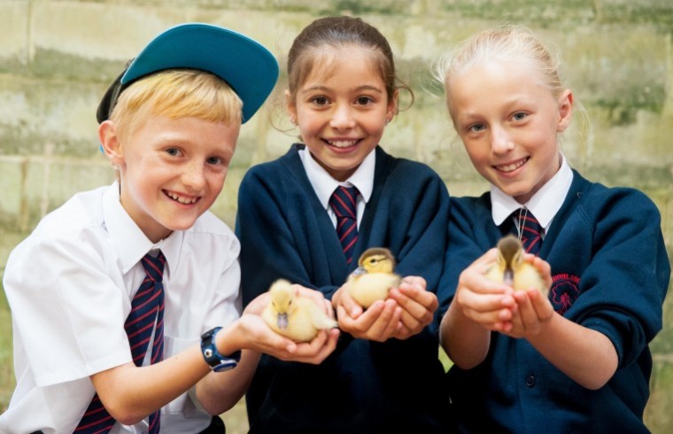 Event brings thousands of schoolchildren to showground