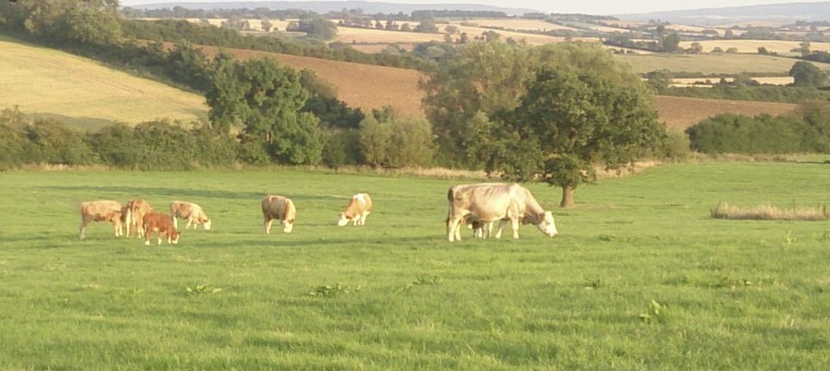 £30 million commitment to help farmers boost productivity