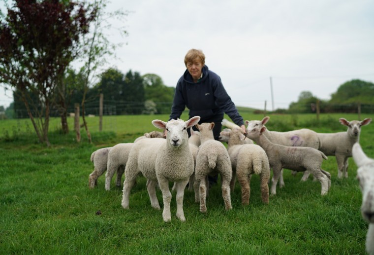 Royal wedding should make eating lamb trendy