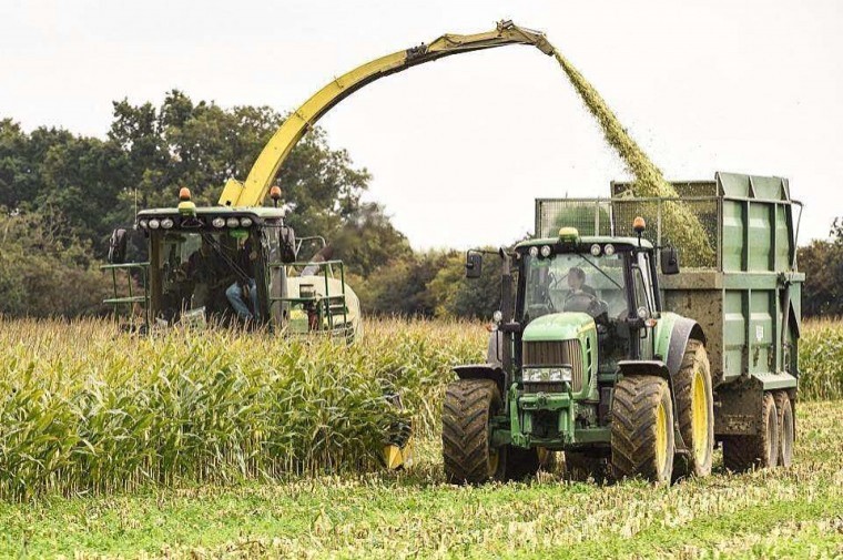 Kent teenager Emma chooses tractor driving over working with livestock