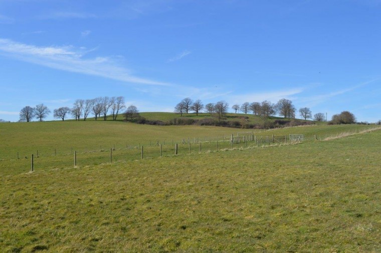 Farm close to the M25