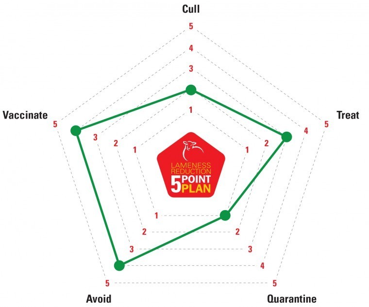 New on-farm sheep lameness control assessment tool