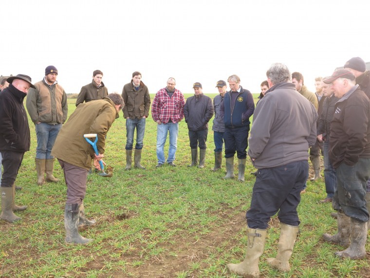 Keeping the pervasive weed under control