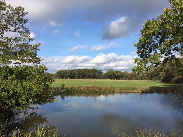 Acres in the low Weald