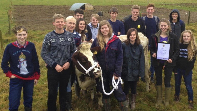 Long service awards for cows