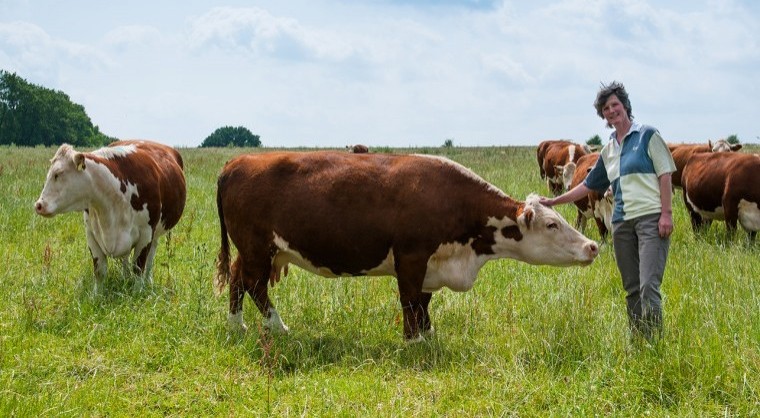 Recruiting drive for pasture fed livestock