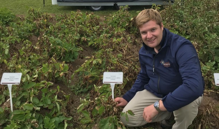 Canopy cover check for desiccation decision