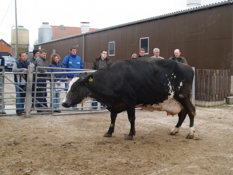 Early-warning system for lame cattle in future