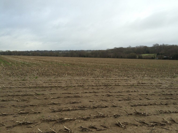 Useful block of arable land