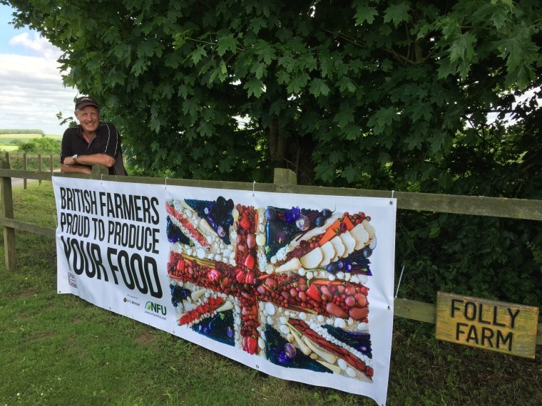 Farm aims to let cover crops do everything