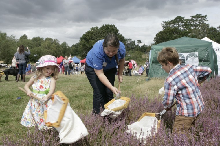 Family fun and wildlife return to Petersfield Heath