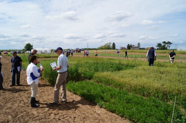 AHDB announce new crop protection project