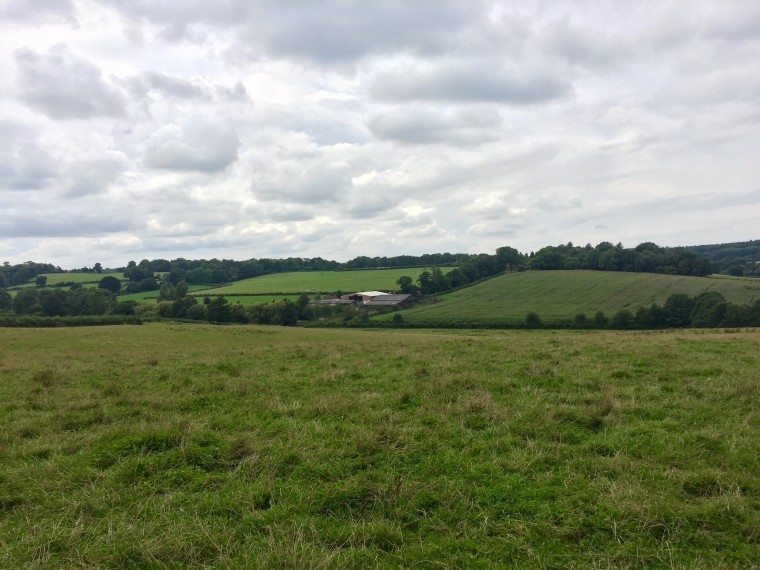 Livestock farm in idyllic location