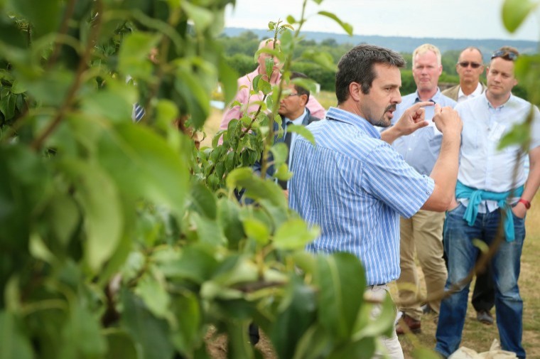 Landmark fruit event in Kent