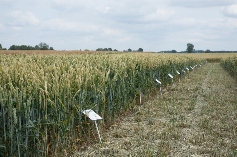 Regional open days showcase routes to higher yields