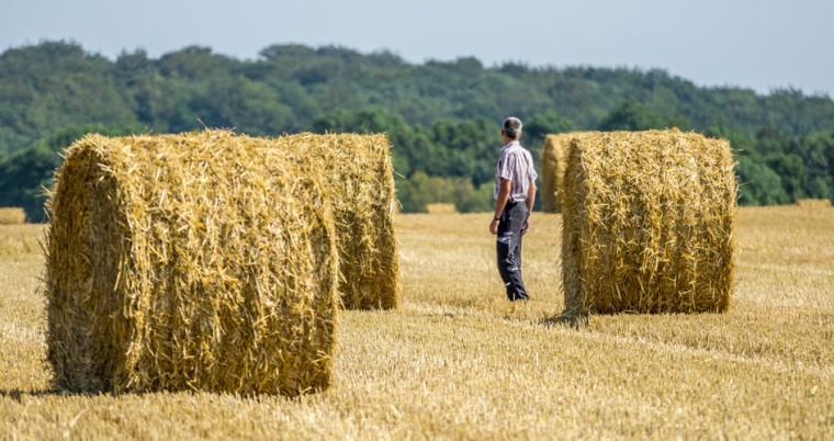 Straw removal removes nutrients too