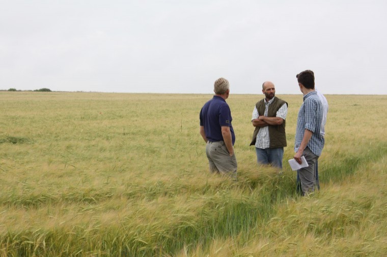 Field lab sees yield increases from compost teas on organic arable farm