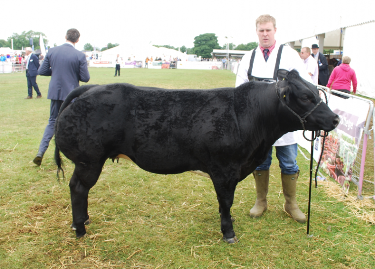 Beef expert brings science focus to industry