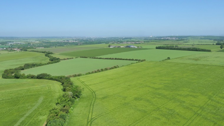 Arable farm with modern grain store