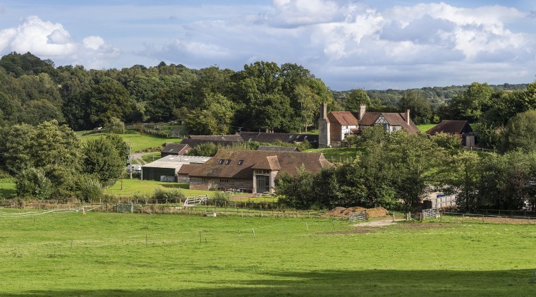 Award winning vineyard