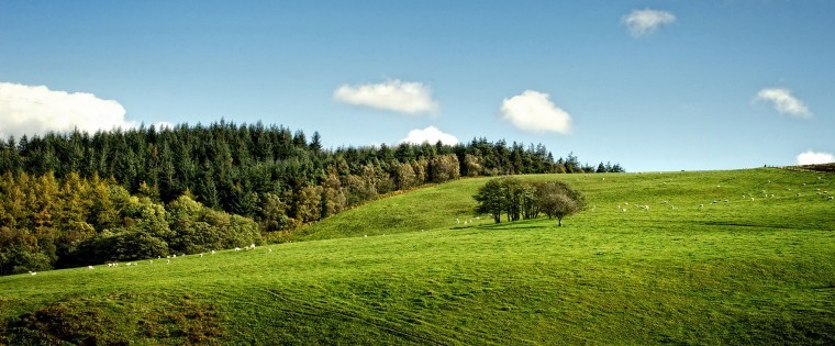 New grassland improvement programme looking for farmers