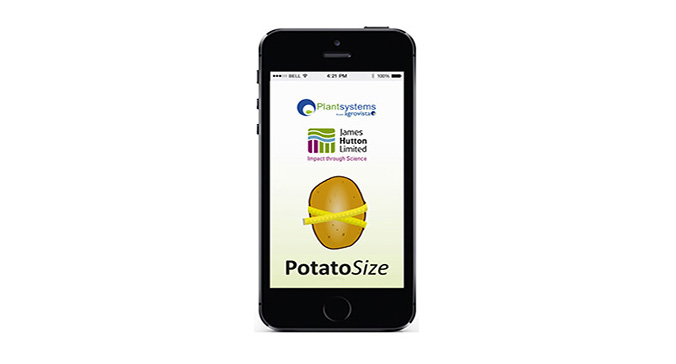 Assessing potato size pre-harvest