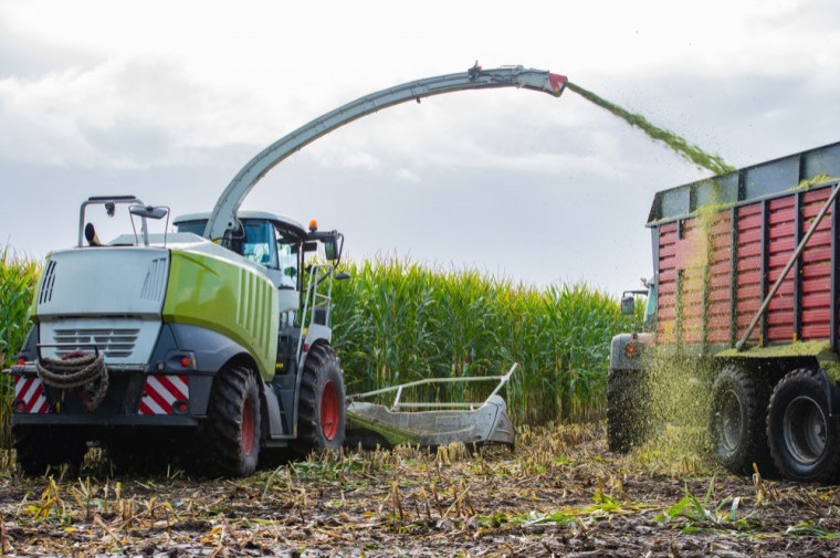 Forage budgeting critical this year