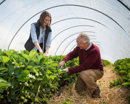 Family tree bears fruit with fifth generation farmer