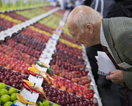 National Fruit Show review