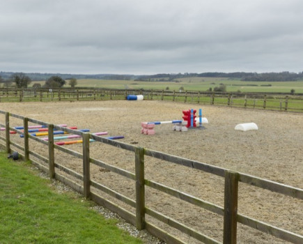 Jumping into equestrian