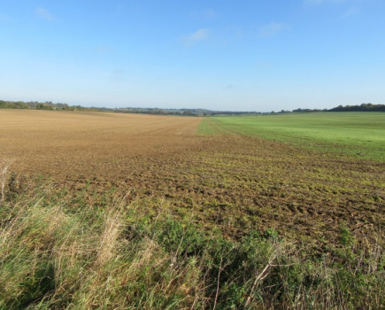 Mix of pasture, arable and woodland