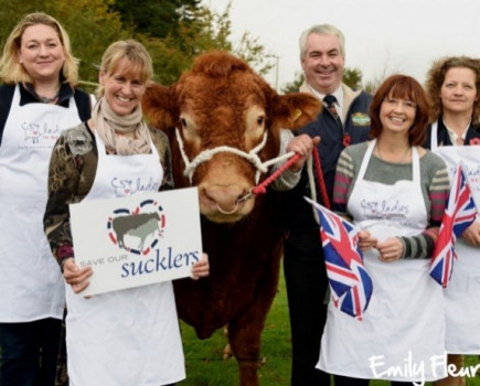 Ladies in Beef call for industry support to boost suckler beef breeding herds