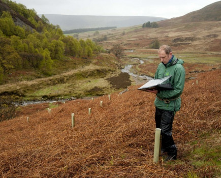 Carbon guarantee aims to boost tree planting