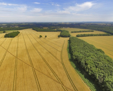 Substantial commercial arable farm