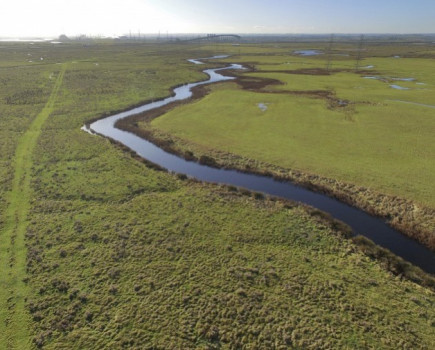 Extensive block of marshland