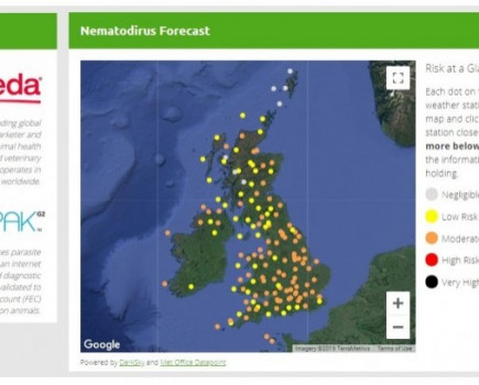 Lambs at risk from nematodirus earlier this year