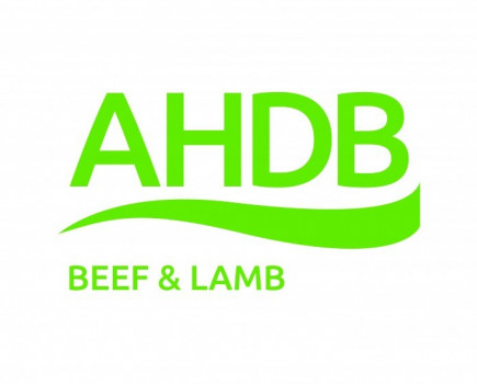 AHDB campaign will launch