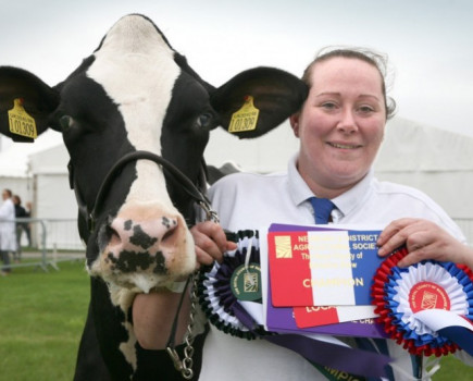 Holstein breeders take top show prizes