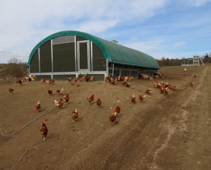 Couple made a tricky start in farming