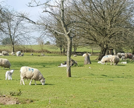 Farm thrives on producing good food and wildlife