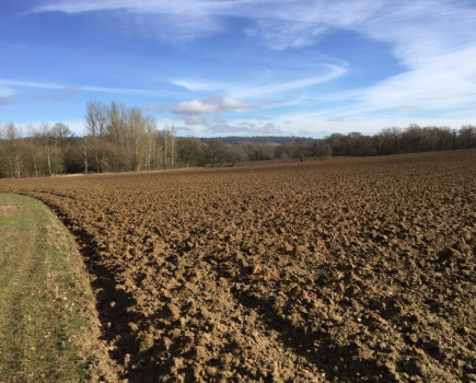 Arable, pasture and woodland