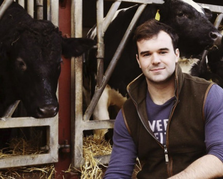 Calf rearing business began with crowd funding