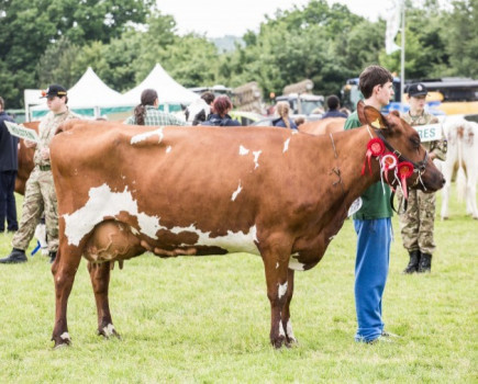 Coronavirus bites deep