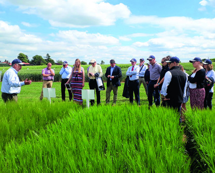 Stepping up British food production innovation