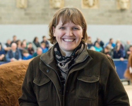 Limousin increases number of genetic evaluations