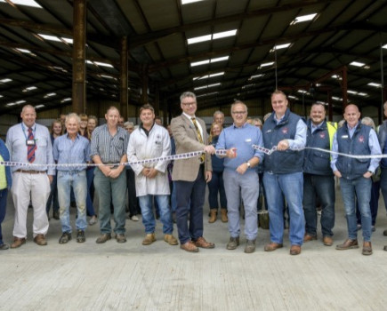 Wool depot opens in Ashford